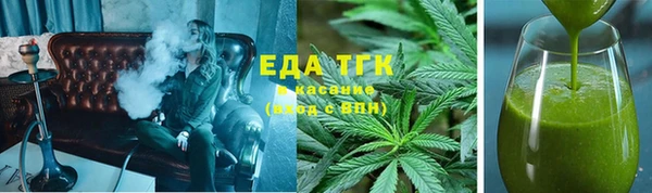 гидра Елабуга