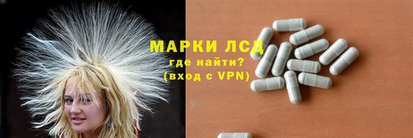 гидра Елабуга