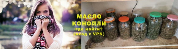 гидра Елабуга