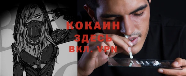 амф Елизово