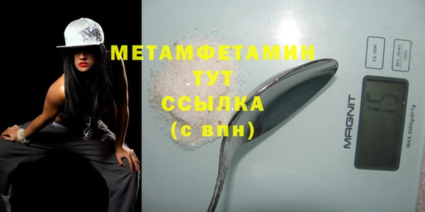 гидра Елабуга