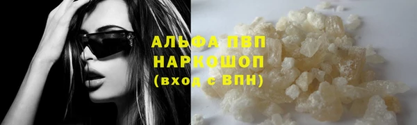 амф Елизово