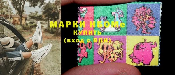 амф Елизово
