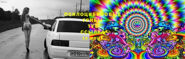 гидра Елабуга
