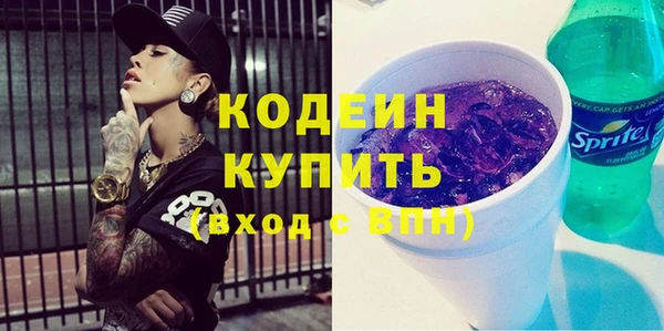 гидра Елабуга
