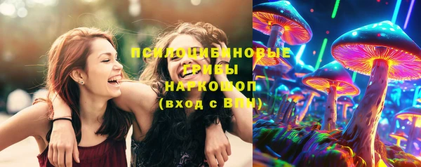 амф Елизово