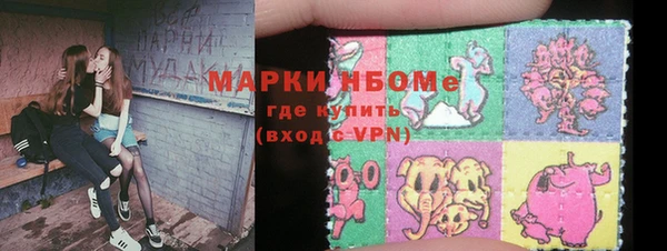 гидра Елабуга