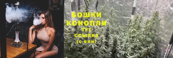 амф Елизово