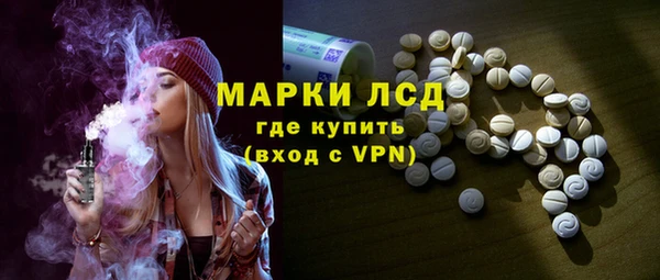 гидра Елабуга