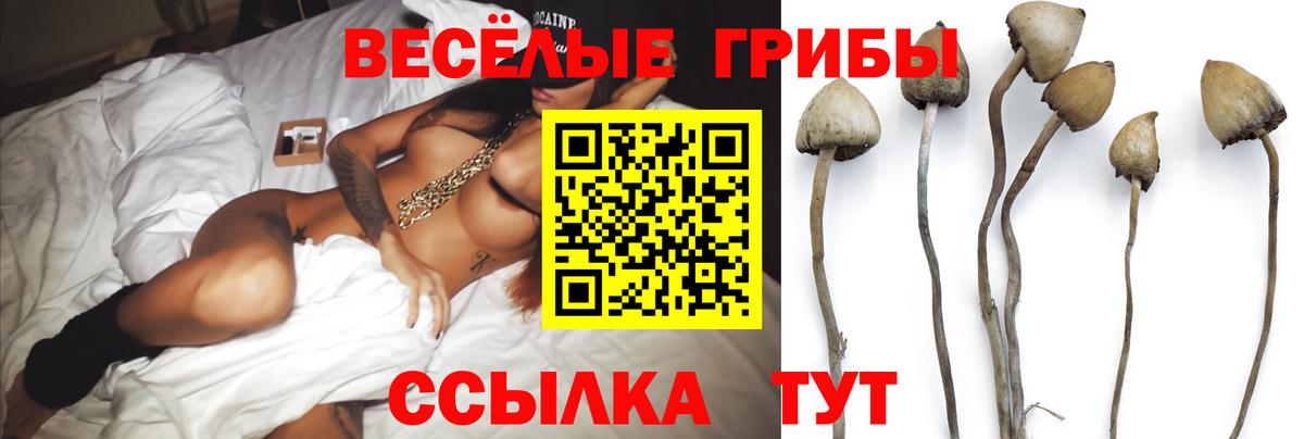 Зеленодольск  Псилоцибиновые грибы GOLDEN TEACHER  Вход с VPN 