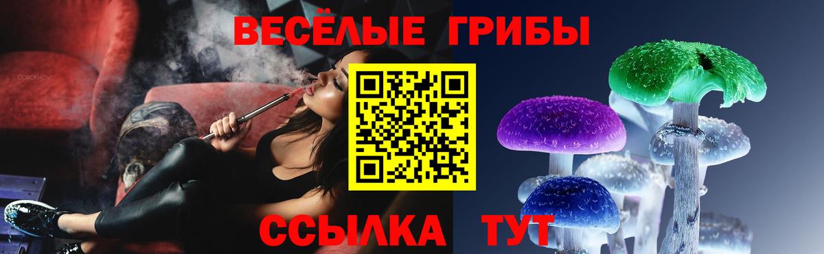 Псилоцибиновые грибы мицелий Зеленодольск
